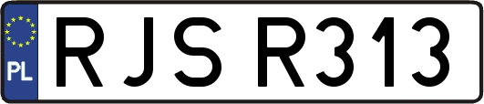 RJSR313