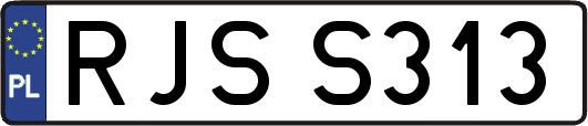 RJSS313