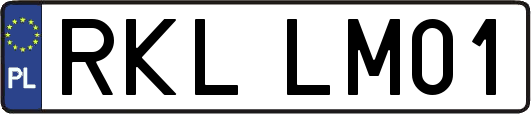 RKLLM01