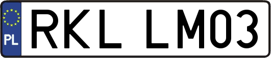 RKLLM03
