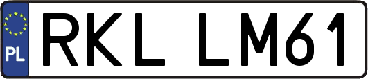 RKLLM61