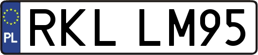 RKLLM95