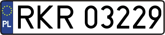 RKR03229