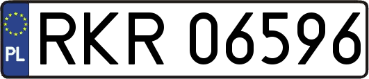 RKR06596
