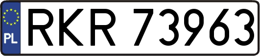 RKR73963