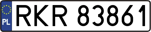 RKR83861
