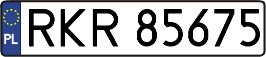 RKR85675