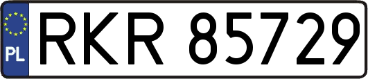 RKR85729