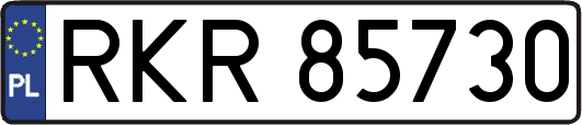 RKR85730