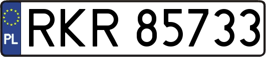 RKR85733