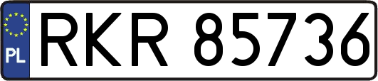 RKR85736