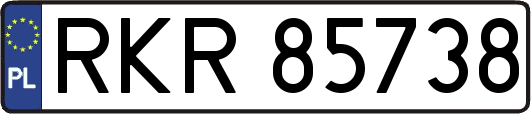 RKR85738