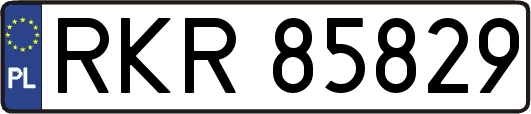 RKR85829