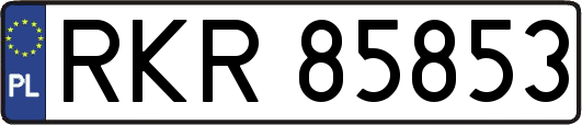 RKR85853
