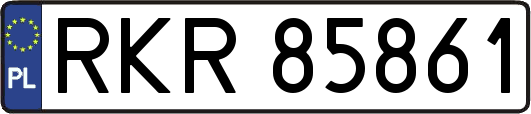 RKR85861