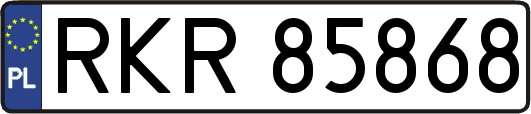 RKR85868