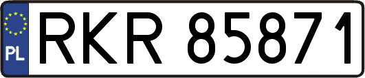 RKR85871