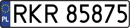 RKR85875