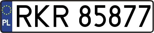 RKR85877