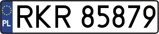 RKR85879