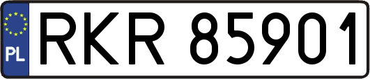 RKR85901