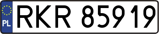 RKR85919