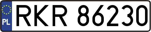 RKR86230