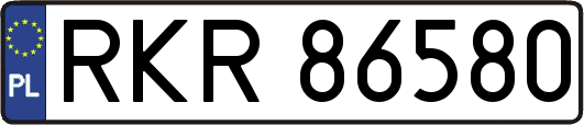 RKR86580