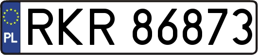 RKR86873