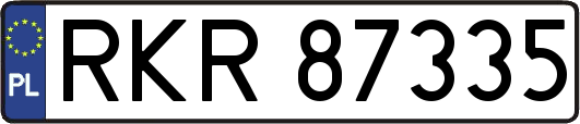 RKR87335