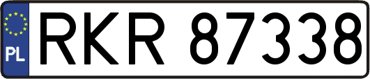 RKR87338