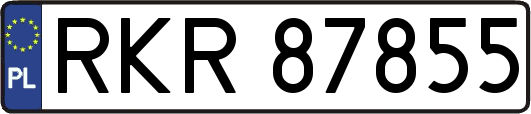 RKR87855
