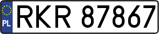 RKR87867