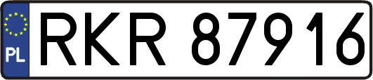 RKR87916