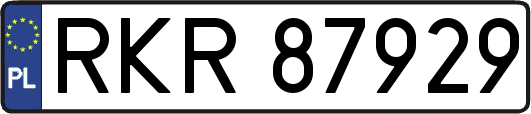 RKR87929