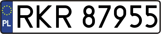 RKR87955