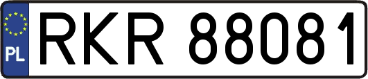 RKR88081