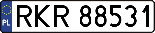 RKR88531