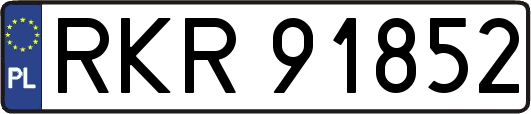RKR91852