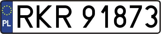 RKR91873