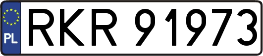 RKR91973