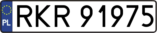 RKR91975
