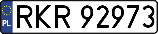 RKR92973
