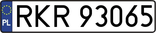 RKR93065