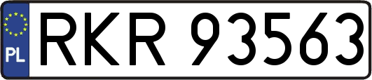 RKR93563