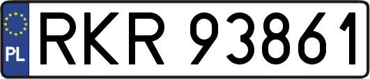 RKR93861