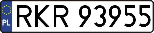 RKR93955