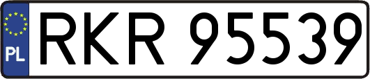 RKR95539