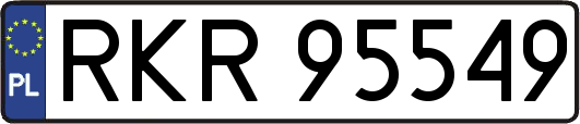 RKR95549