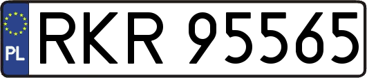 RKR95565